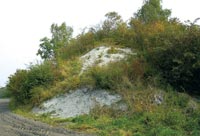 Mergelhalde in der Osterbauerschaft in Ascheberg