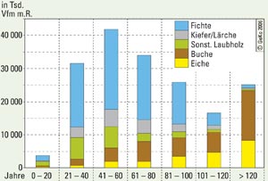 Verteilung des Holzvorrats nach Altersklassen und Baumartengruppen
