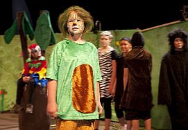 Der 'Graslöwe' aus dem Musical der Gesamtschule Hemer schützt die Natur auf seiner InselDer 'Graslöwe' aus dem Musical der Gesamtschule Hemer schützt die Natur auf seiner Insel.