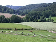 Blick über das Hattinger Hügelland