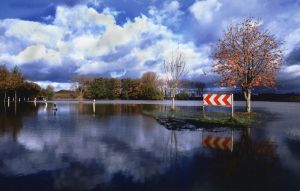 Das Siegerfoto der Kategorie Erwachsene: Wasserstraße.